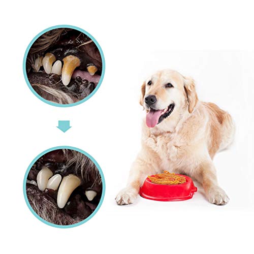 Nobleza - Premios para Perros, Golosina Natural para Perros con cecina de Pollo, mordeduras de Carne de pechuga de Pollo Premium, golosinas para Entrenamiento de Cachorros, Paquete de 6, 600 g Nobleza - Premios para Perros, Golosina Natural para Perros con cecina de Pollo, mordeduras de Carne de pechuga de Pollo Premium, golosinas para Entrenamiento de Cachorros, Paquete de 6, 600 g