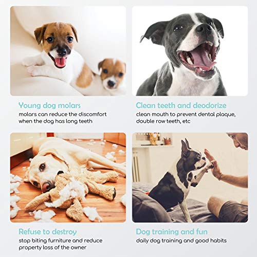 Nobleza - Premios para Perros, Golosina Natural para Perros con cecina de Pollo, mordeduras de Carne de pechuga de Pollo Premium, golosinas para Entrenamiento de Cachorros, Paquete de 6, 600 g Nobleza - Premios para Perros, Golosina Natural para Perros con cecina de Pollo, mordeduras de Carne de pechuga de Pollo Premium, golosinas para Entrenamiento de Cachorros, Paquete de 6, 600 g