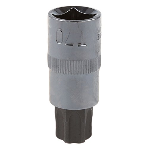 Noblik Juego de 13 puntas Torx a prueba de manipulaciones para llaves de vaso de 1/4 3/8 y 1/2 pulgadas T8 – T70 AT724 Noblik Juego de 13 puntas Torx a prueba de manipulaciones para llaves de vaso de 1/4 3/8 y 1/2 pulgadas T8 – T70 AT724
