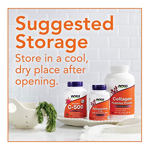 Now Foods L-Arginine 500mg Standard - 250 Cápsulas Now Foods L-Arginine 500mg Standard - 250 Cápsulas