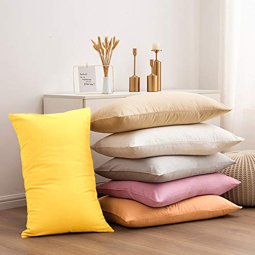NTBAY Fundas de Almohada de Microfibra, Paquete de 2 Fundas de Almohada con Cierre Suave Antiarrugas y Resistente a Las Manchas, 50x90 cm, Blanco NTBAY Fundas de Almohada de Microfibra, Paquete de 2 Fundas de Almohada con Cierre Suave Antiarrugas y Resistente a Las Manchas, 50x90 cm, Blanco