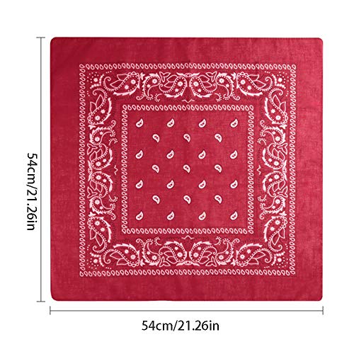 Nuluxi Pañuelo Unisex De Paisley Pañuelos Cabeza Algodon Paisley Bandana Paisley para Cabeza Pelo Cuello Bandana Adecuado para ir en Moto Caminar Deportes Vestirse Casual y Noches Temáticas(5 Piezas)