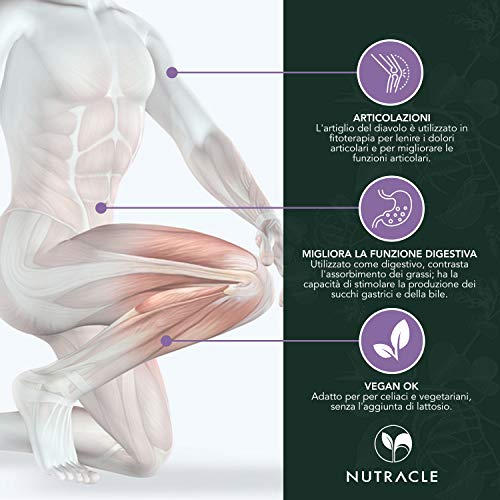 NUTRACLE Garra del Diablo Tabletas a base de extracto seco de Harpagófito. 100 comprimidos de 500 mg, suministro para 25 días NUTRACLE Garra del Diablo Tabletas a base de extracto seco de Harpagófito. 100 comprimidos de 500 mg, suministro para 25 días