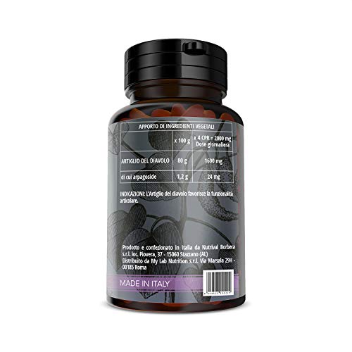 NUTRACLE Garra del Diablo Tabletas a base de extracto seco de Harpagófito. 100 comprimidos de 500 mg, suministro para 25 días
