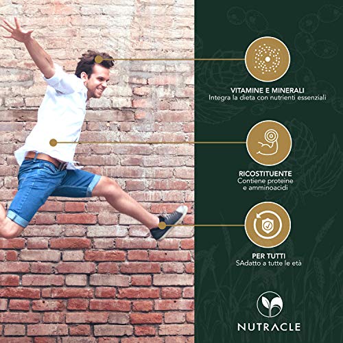 NUTRACLE LEVADURA DE CERVEZA 100 comprimidos de 500 mg | restaurador del cabello y la piel | Rico de oligoelementos y vitaminas del grupo B NUTRACLE LEVADURA DE CERVEZA 100 comprimidos de 500 mg | restaurador del cabello y la piel | Rico de oligoelementos y vitaminas del grupo B