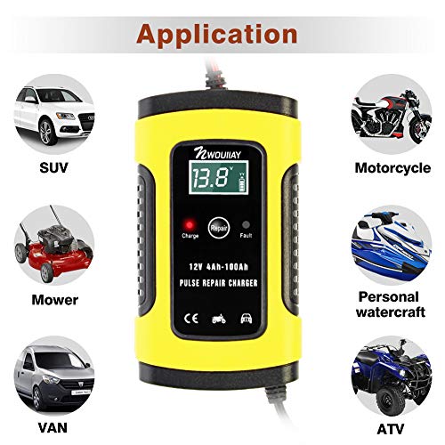 NWOUIIAY Cargador de Batería Coche Mantenimiento Automático Inteligente 6A 12V con Múltiples Protecciones para Coche Moto ATV RV Barco