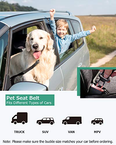 Oasser Cinturón de Seguridad para Perro de Coche para Mascota Hebilla de Fijación Cuerda Cuerda de Tracción para Uso en Exteriores Cuerda Elástica de Alta Resistencia con Mango Freno Reflectante E5 Oasser Cinturón de Seguridad para Perro de Coche para Mascota Hebilla de Fijación Cuerda Cuerda de Tracción para Uso en Exteriores Cuerda Elástica de Alta Resistencia con Mango Freno Reflectante E5