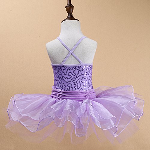 OBEEII Vestido Danza Ballet Maillot Niña Tutu Vestido de Princesa Falda Bailarina Disfraz de Sirena para Niña 3-4 Años Morado