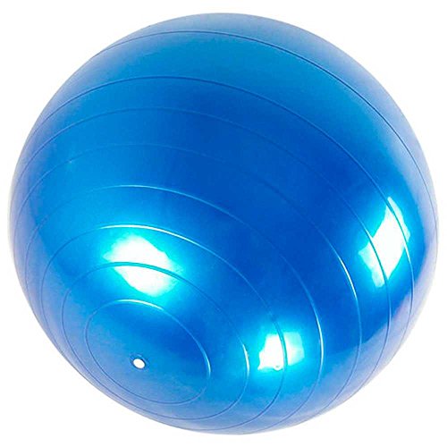 OcioDual Pelota Balon Gym Ball para Deporte Gimnasia Yoga Pilates Abdominales Azul 65 cm Blue for Fitness Core Exercise+Pump