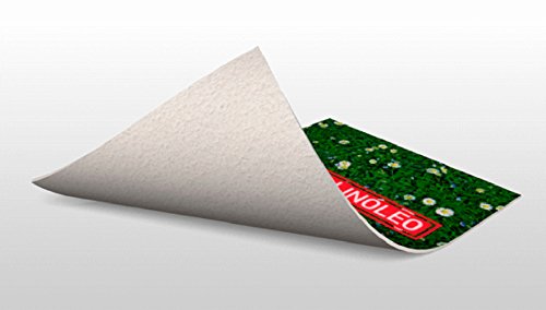 Oedim Alfombra Golf cesped PVC 95 cm x 120 cm | Moqueta Adulto PVC | Suelo vinilico para Adultos Oedim Alfombra Golf cesped PVC 95 cm x 120 cm | Moqueta Adulto PVC | Suelo vinilico para Adultos