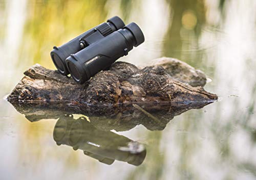 Olympus Prismáticos 10x42 PRO, Visión natural, clara y luminosa, robustos, impermeables, delgados, diseño sencillo - para viajar, hacer senderismo, deportes y observación a corta distancia