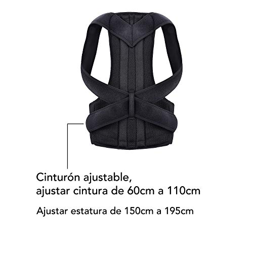 Olymstars Corrector Postura Espalda, Corrector Espalda Ajustable Respirable para Aliviar los Dolores de Dorsales, Thoraciques, Cuello, Hombros Columna, Mejorar Postura con Faja Lumbar Hombre Mujer Olymstars Corrector Postura Espalda, Corrector Espalda Ajustable Respirable para Aliviar los Dolores de Dorsales, Thoraciques, Cuello, Hombros Columna, Mejorar Postura con Faja Lumbar Hombre Mujer