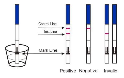 One Step - Pack de 5 pruebas de embarazo 10 mIU/ml - Envío discreto - Ancho de tira a escoger (Tira ancha)