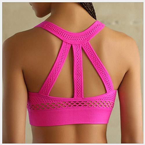 OPNIGHDYMD Yoga Gym Sujetador Deportivo Para Mujer Soporte De Espalda Cruzada De Alto Impacto Sujetador Deportivo Sujetadores De Entrenamiento Sin Costuras Acolchados Para Correr Bailar Trotar Ejercic OPNIGHDYMD Yoga Gym Sujetador Deportivo Para Mujer Soporte De Espalda Cruzada De Alto Impacto Sujetador Deportivo Sujetadores De Entrenamiento Sin Costuras Acolchados Para Correr Bailar Trotar Ejercic