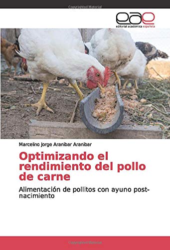 Optimizando el rendimiento del pollo de carne: Alimentación de pollitos con ayuno post-nacimiento