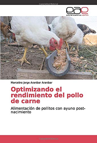 Optimizando el rendimiento del pollo de carne: Alimentación de pollitos con ayuno post-nacimiento