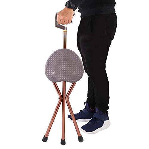 oueaen bastón - Silla Plegable portátil del bastón del Viaje del Taburete del Asiento de la Silla del bastón del Metal oueaen bastón - Silla Plegable portátil del bastón del Viaje del Taburete del Asiento de la Silla del bastón del Metal