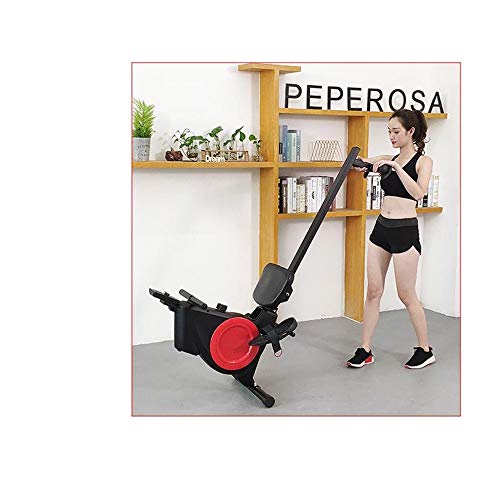 Ouqian Máquina de Remo Máquinas de Ejercicios de Remo pequeña máquina casera Plegable Mini Cubierta Multifuncional Mute Inicio Ejercicio Fitness Equipment (Color : Black, Size : 165x48x85cm)