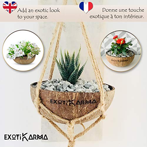 Pack de 2 tazones de coco reciclados + 2 cucharas exóticas de madera, cero desechos, vegano, para un desayuno sano, cereales, ensaladas, helados, smoothie bowls, buda bowls, acaï bowls Pack de 2 tazones de coco reciclados + 2 cucharas exóticas de madera, cero desechos, vegano, para un desayuno sano, cereales, ensaladas, helados, smoothie bowls, buda bowls, acaï bowls