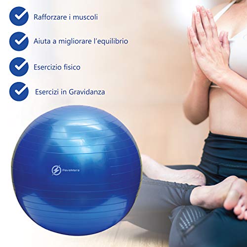 PavaMara fitball - Pelota de fitness pilates de 55/65/75 cm – Balón de gimnasia en el gimnasio en casa – Fisioterapia espalda (gris, 65 cm)
