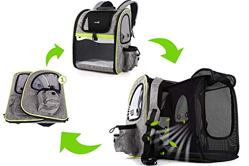Pecute Transportin Gato Mochilas para Gatos y Perro Bolsa para Mascotas Expandible y Plegable, Carga Máxima 15 kg, para Viajar en Tren/automóvil/Restaurante/avión, Gris (Gris, Ventana Transparente) Pecute Transportin Gato Mochilas para Gatos y Perro Bolsa para Mascotas Expandible y Plegable, Carga Máxima 15 kg, para Viajar en Tren/automóvil/Restaurante/avión, Gris (Gris, Ventana Transparente)