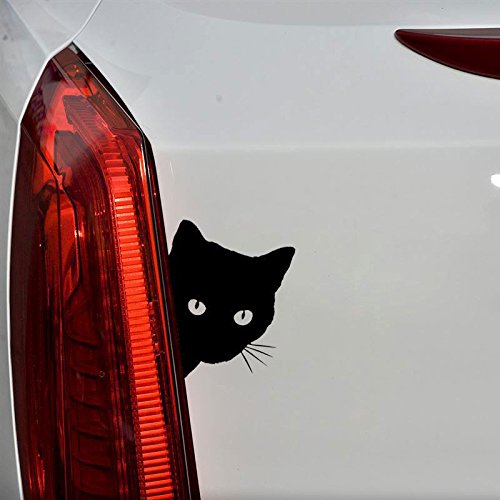 Pegatina adhesiva cabeza de gato negro scooter moto coche vinilo car tuning