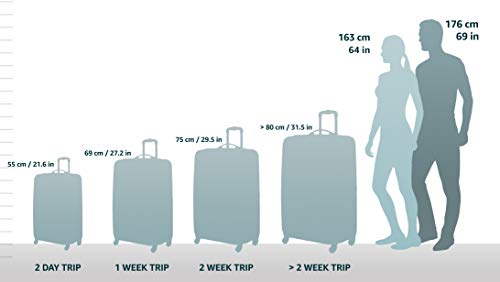 PELI Storm IM2950 Maleta de Transporte rugerizada con Ruedas para Equipos frágiles, Resistente al Agua y al Polvo, 90L de Capacidad, Fabricada en EE.UU, con Espuma Personalizable, Color Negro PELI Storm IM2950 Maleta de Transporte rugerizada con Ruedas para Equipos frágiles, Resistente al Agua y al Polvo, 90L de Capacidad, Fabricada en EE.UU, con Espuma Personalizable, Color Negro