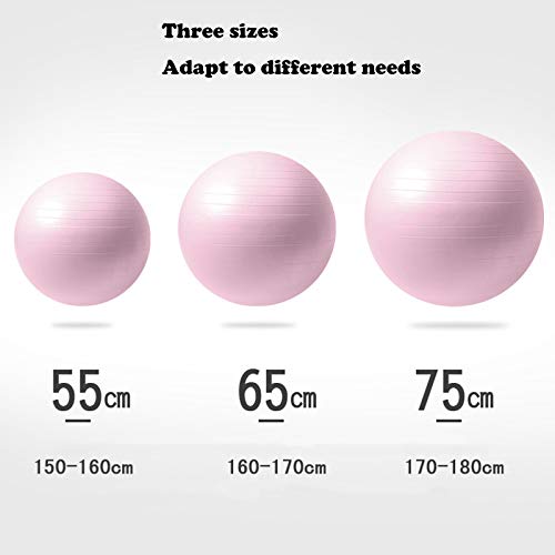 Pelota de Ejercicio, 55cm / 65cm / 75cm con Bomba de Aire Gym Ball, Yoga Ball, Aplicaciones: Pilates, Yoga, Entrenamiento Abdominal y Mejora de la flexibilidad