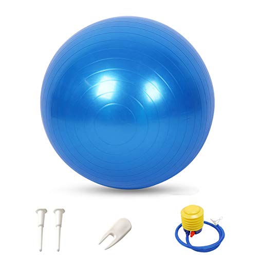 Pelota Gimnasia 55cm con Bomba Balón Pilates Anti Burst Pelota de Gimnasia Ritmica Pelota Gimnasia Grande Balón de Ejercicio Anti Explosión para Yoga Pilates Equilibrio Fitness Entrenamiento Azul 1pz