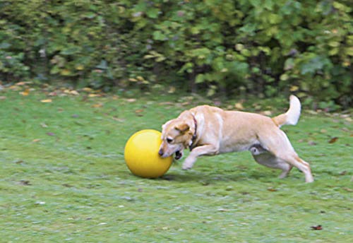 Pelota para perros Ø 30 cm, amarillo, de plástico