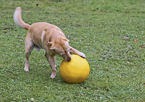 Pelota para perros Ø 30 cm, amarillo, de plástico