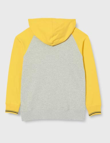 Pepe Jeans Charles Sudadera, Amarillo (Solar 065), 14-15 años (Talla del Fabricante: 14) para Niños