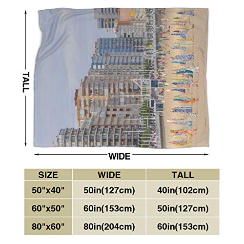 Perfect household goods Manta de forro polar de 127 x 152 cm - Asturias España Gijon Beach Houses Home franela suave cálida manta de felpa para cama/sofá/oficina/camping Perfect household goods Manta de forro polar de 127 x 152 cm - Asturias España Gijon Beach Houses Home franela suave cálida manta de felpa para cama/sofá/oficina/camping