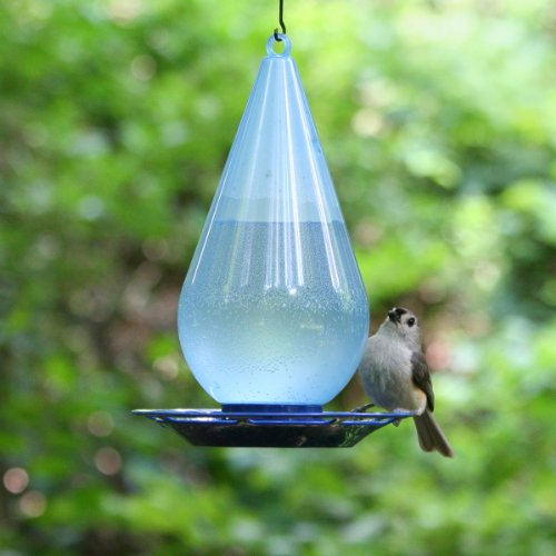 Perky-Pet Bebedero de Agua Fresca para los pájaros-Decoración Azul translúcida en Forma de Gota a Colgar en el jardín para abrevar los Aves en casa #781 Perky-Pet Bebedero de Agua Fresca para los pájaros-Decoración Azul translúcida en Forma de Gota a Colgar en el jardín para abrevar los Aves en casa #781