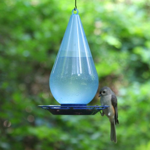 Perky-Pet Bebedero de Agua Fresca para los pájaros-Decoración Azul translúcida en Forma de Gota a Colgar en el jardín para abrevar los Aves en casa #781