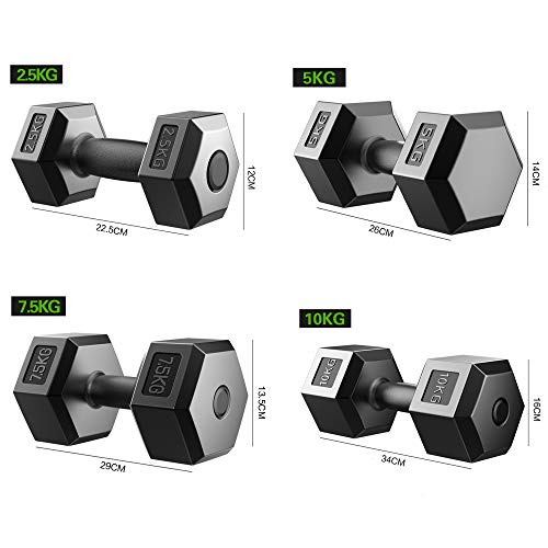 Pesas de Mano con Mancuernas hexagonales Equipo de Entrenamiento y Ejercicio para Entrenamientos en casa y Fitness Elija el Peso (2,5 kg, 5 kg, 7,5 kg, 10 kg),2.5kgx2 Pesas de Mano con Mancuernas hexagonales Equipo de Entrenamiento y Ejercicio para Entrenamientos en casa y Fitness Elija el Peso (2,5 kg, 5 kg, 7,5 kg, 10 kg),2.5kgx2