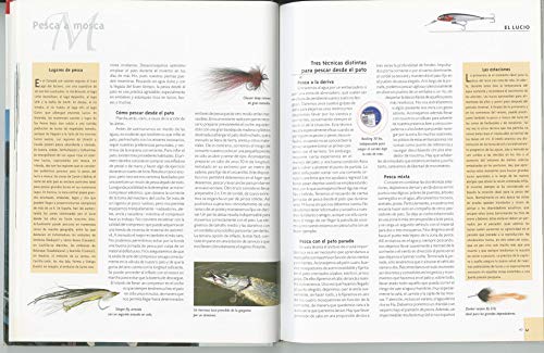 Pesca De Depredadores De Agua Dulce, La (GuĆas Ilustradas De Pesca) Pesca De Depredadores De Agua Dulce, La (GuĆas Ilustradas De Pesca)