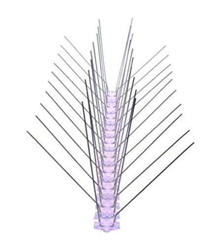 Pestsystems 10 Metros Base de Policarbonato-4-hileras de Púas antipalomas la solución de Calidad para el Control de Aves, Transparent