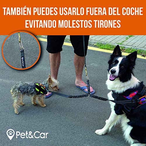 PET & CAR Doble cinturón de Seguridad de Coche para Dos Perros. Ajustable con Doble Correa elástica Reforzada y mosquetón Tipo montaña previenen Lesiones en Mascotas. Elige Diseño y Seguridad.