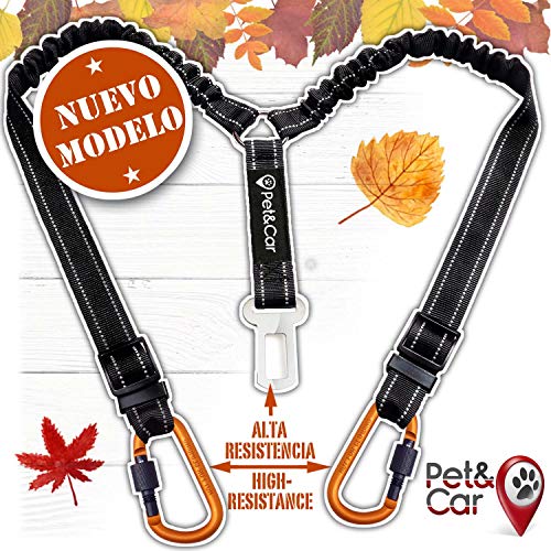 PET & CAR Doble cinturón de Seguridad de Coche para Dos Perros. Ajustable con Doble Correa elástica Reforzada y mosquetón Tipo montaña previenen Lesiones en Mascotas. Elige Diseño y Seguridad. PET & CAR Doble cinturón de Seguridad de Coche para Dos Perros. Ajustable con Doble Correa elástica Reforzada y mosquetón Tipo montaña previenen Lesiones en Mascotas. Elige Diseño y Seguridad.