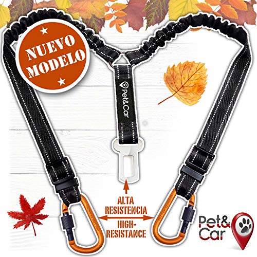 PET & CAR Doble cinturón de Seguridad de Coche para Dos Perros. Ajustable con Doble Correa elástica Reforzada y mosquetón Tipo montaña previenen Lesiones en Mascotas. Elige Diseño y Seguridad.