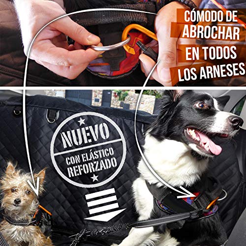 PET & CAR Doble cinturón de Seguridad de Coche para Dos Perros. Ajustable con Doble Correa elástica Reforzada y mosquetón Tipo montaña previenen Lesiones en Mascotas. Elige Diseño y Seguridad.