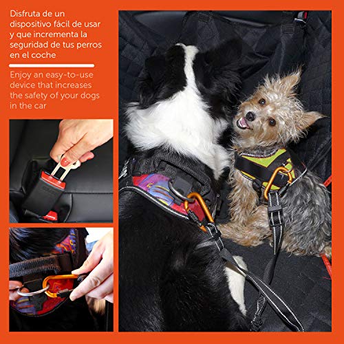 PET & CAR Doble cinturón de Seguridad de Coche para Dos Perros. Ajustable con Doble Correa elástica Reforzada y mosquetón Tipo montaña previenen Lesiones en Mascotas. Elige Diseño y Seguridad.