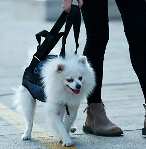 Pet Carrier Mochila Ajustables Delanteras Patas del Perrito de la Bolsa de Salida orientado hacia Delante del Perro casero del morral del Portador con Travel Cola Hole Manos Libres, Senderismo