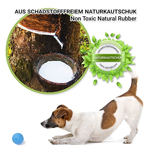 PetPäl Pelota de Caucho Natural para Perros PetPäl Pelota de Caucho Natural para Perros