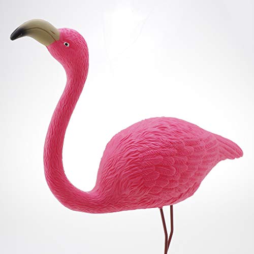 PETSOLA Flamenco Plastico Adorno de Jardín para Césped - Rosados Jardín del Flamenco Estanque Ornamento - 37 x 50cm PETSOLA Flamenco Plastico Adorno de Jardín para Césped - Rosados Jardín del Flamenco Estanque Ornamento - 37 x 50cm