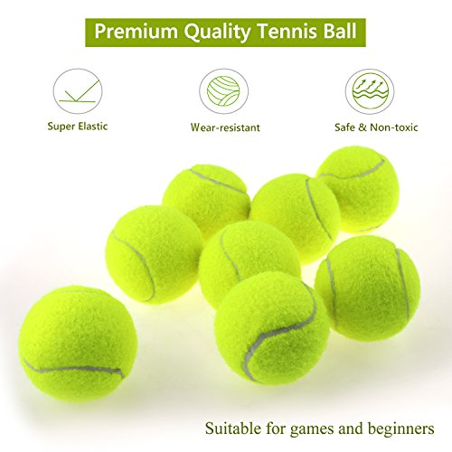 Philonext 12 PCS pelotas de tenis con bolsa de malla de transporte, bolas de tenis sin presión bolas de práctica jugando con mascotas deportes bolas de cubo para el transporte fácil