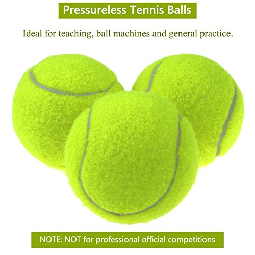 Philonext 12 PCS pelotas de tenis con bolsa de malla de transporte, bolas de tenis sin presión bolas de práctica jugando con mascotas deportes bolas de cubo para el transporte fácil