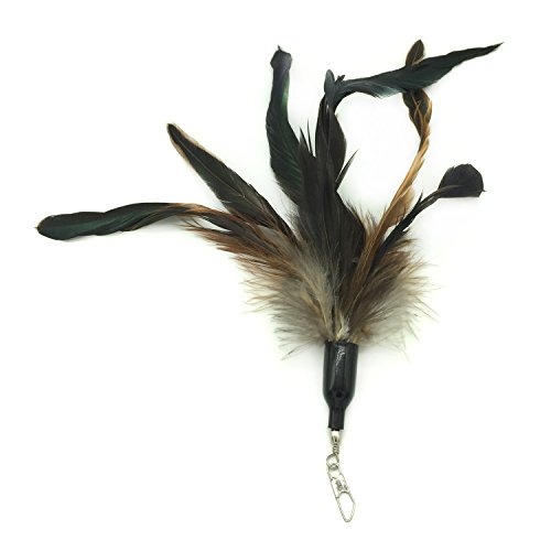 PietyPet Gato Rectificable Toy Wand, Recargas múltiples Gato Pluma Juguete Interactivo Gato Varita Rematador y ejercitador con Gato y Gatito Kitty, 8 Piezas PietyPet Gato Rectificable Toy Wand, Recargas múltiples Gato Pluma Juguete Interactivo Gato Varita Rematador y ejercitador con Gato y Gatito Kitty, 8 Piezas