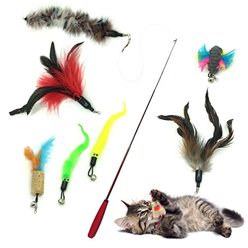 PietyPet Gato Rectificable Toy Wand, Recargas múltiples Gato Pluma Juguete Interactivo Gato Varita Rematador y ejercitador con Gato y Gatito Kitty, 8 Piezas PietyPet Gato Rectificable Toy Wand, Recargas múltiples Gato Pluma Juguete Interactivo Gato Varita Rematador y ejercitador con Gato y Gatito Kitty, 8 Piezas